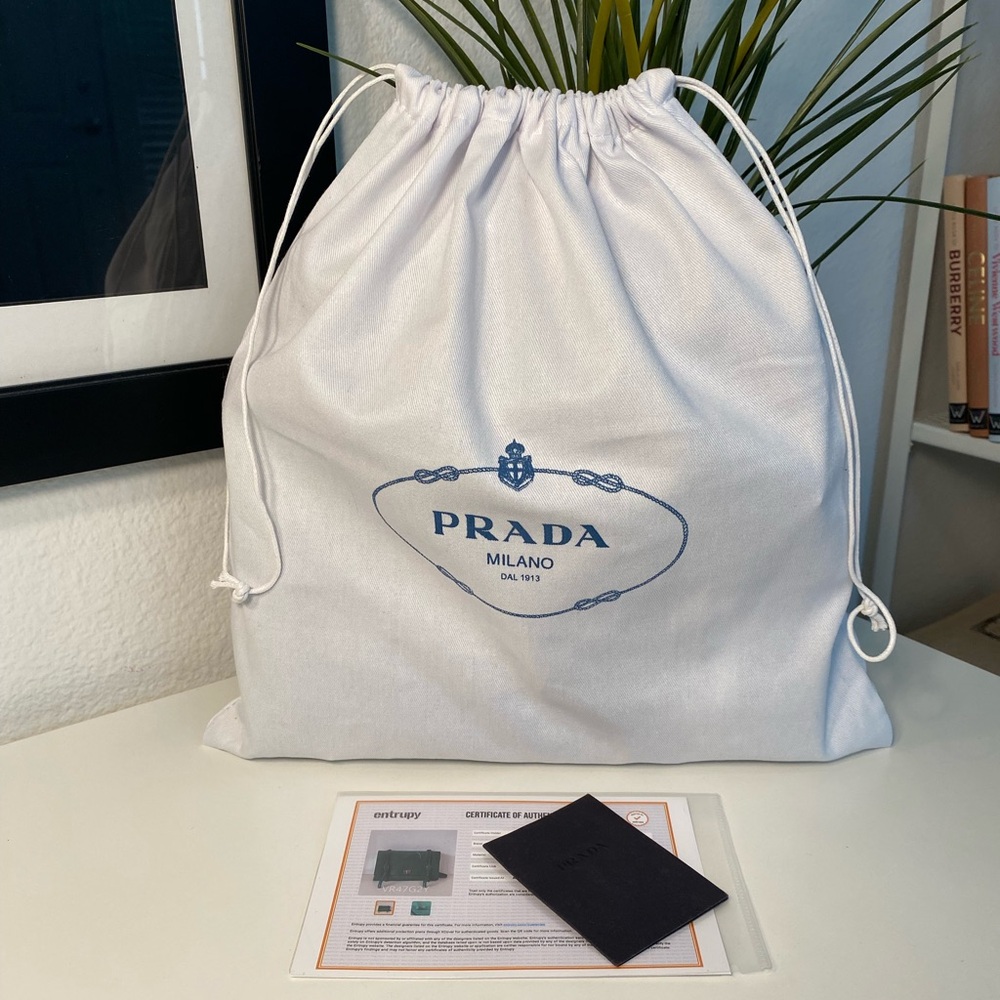 RARE PRADA Runway/AD 2014 Vitello Lux Calf Shoulder/Crossbody Bag COA - Picture 5 of 17